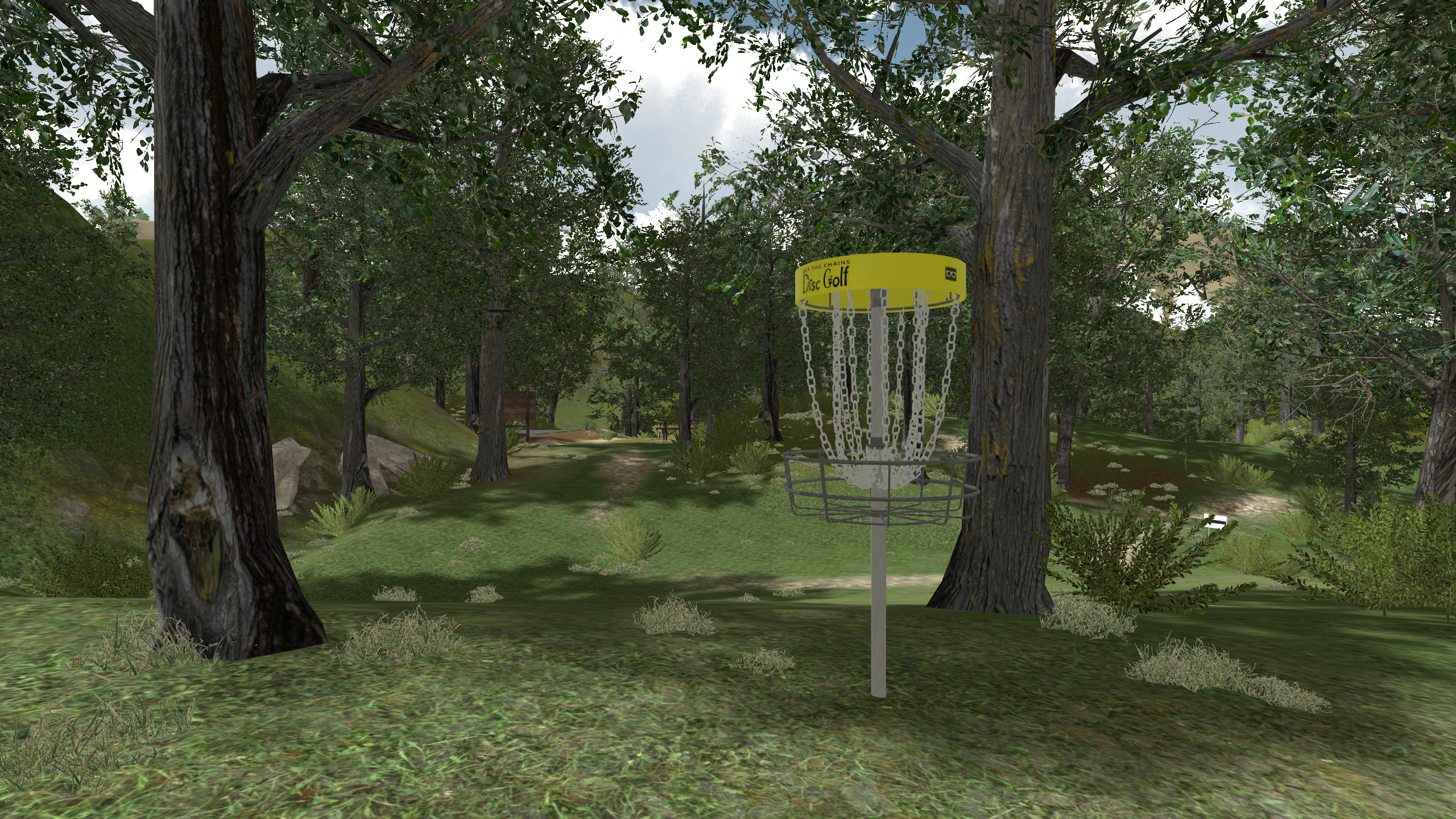 Image of disc golf basket in the woods